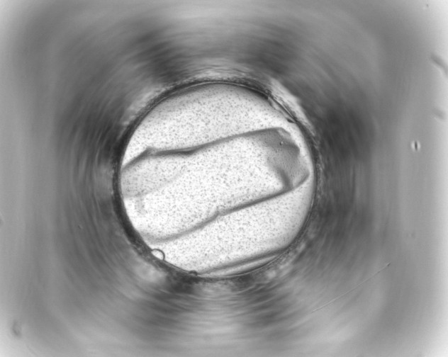 X0000093260106200710241341