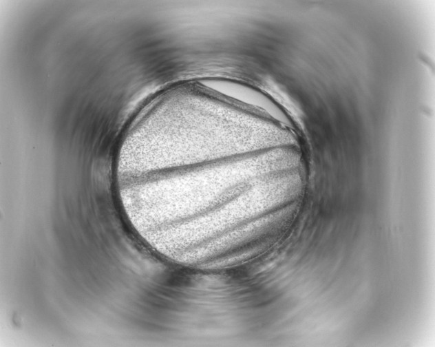 X0000093260107200710241341