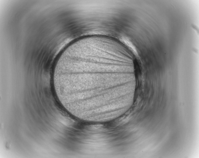 X0000093260108200710241341