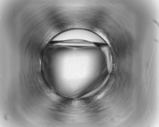 X0000093260109200710241341