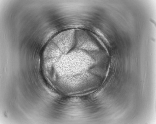 X0000093260110200710241341