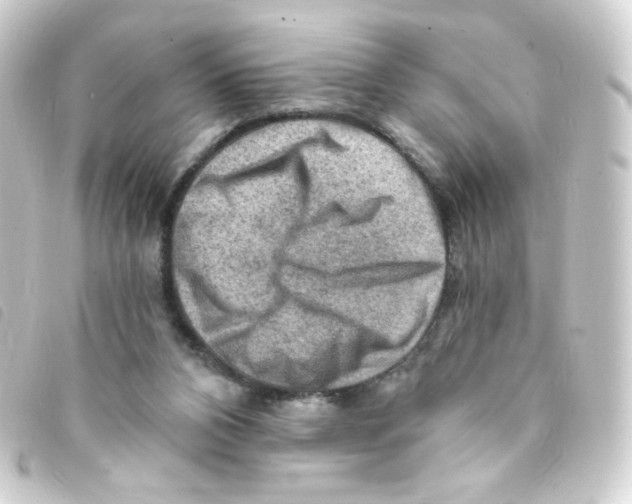 X0000093260112200710241341