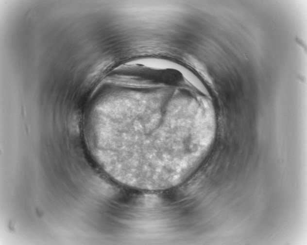 X0000093260114200710241341