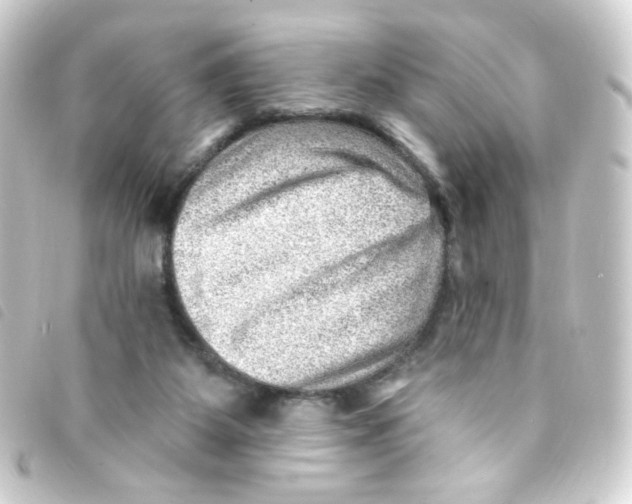 X0000093260115200710241341