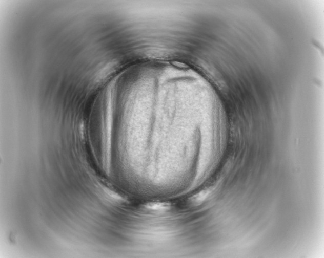 X0000093260117200710241341