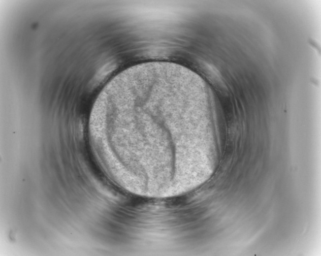 X0000093260120200710241341