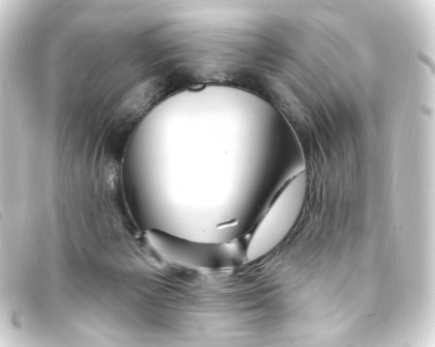X0000093260125200710241340