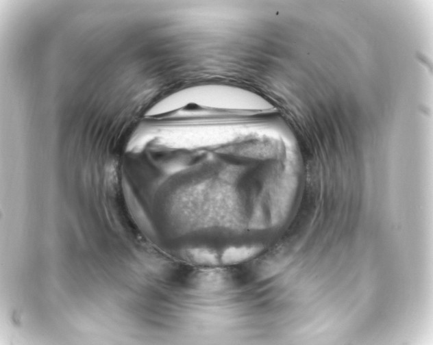 X0000093260127200710241340