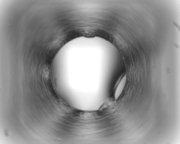 X0000093260129200710241340