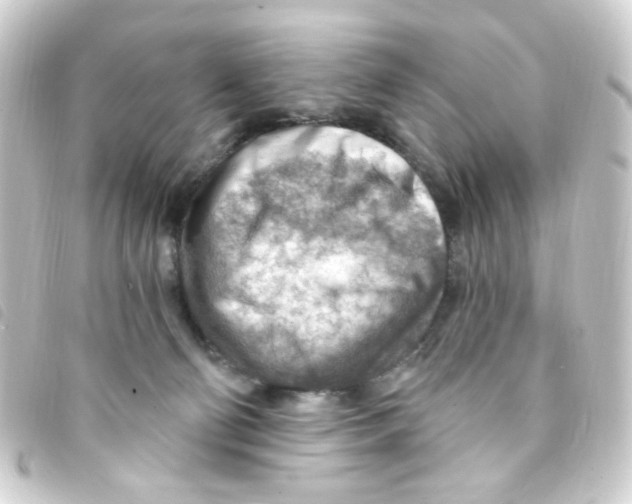 X0000093260130200710241340