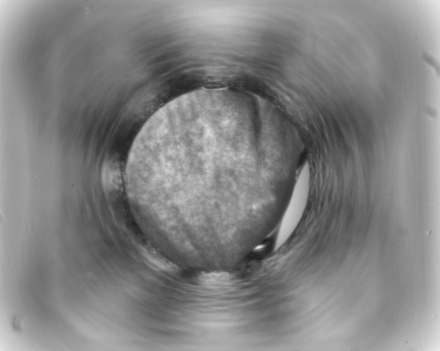 X0000093260137200710241340
