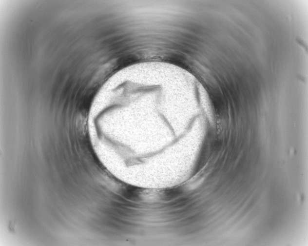 X0000093260142200710241340