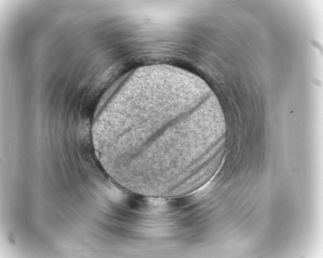 X0000093260144200710241340