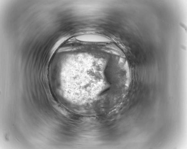 X0000093260147200710241340