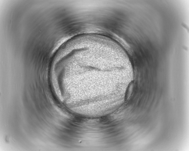 X0000093260155200710241340