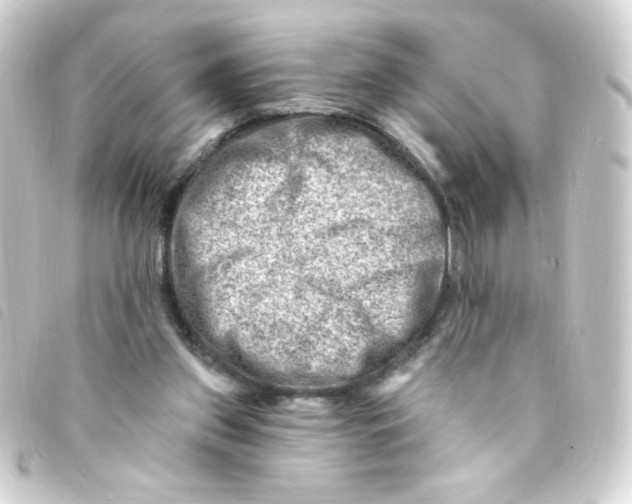 X0000093260157200710241340