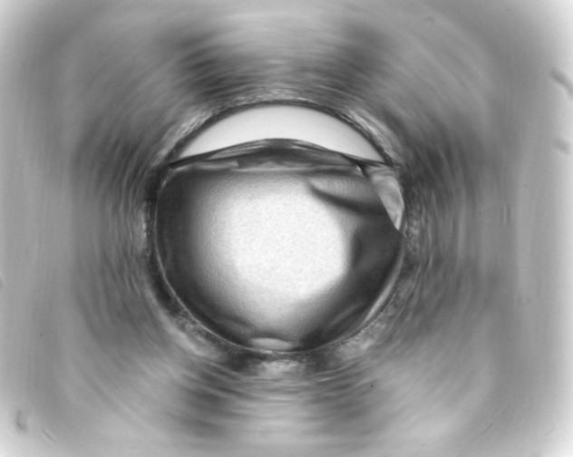 X0000093260158200710241340