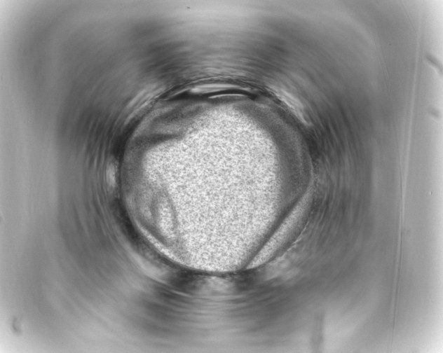 X0000093260166200710241340