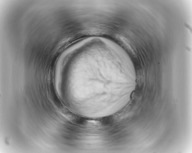 X0000093260167200710241340
