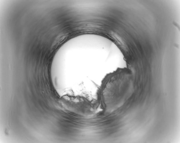 X0000093260169200710241340