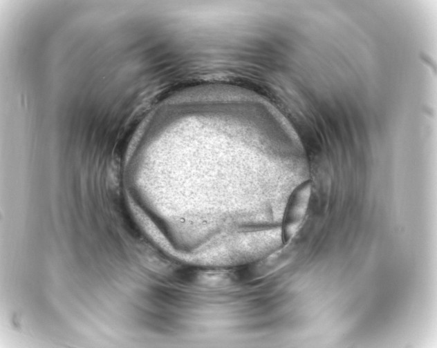 X0000093260175200710241340
