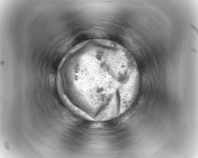 X0000093260177200710241340