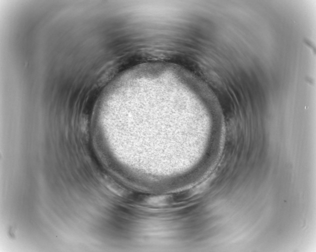 X0000093260178200710241340