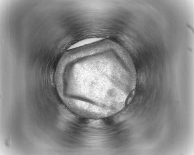 X0000093260185200710241340