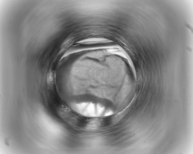 X0000093260191200710241340