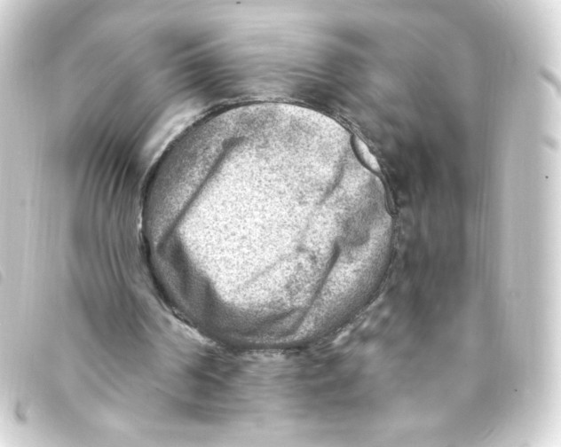 X0000093260194200710241340