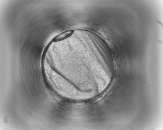 X0000093260196200710241339