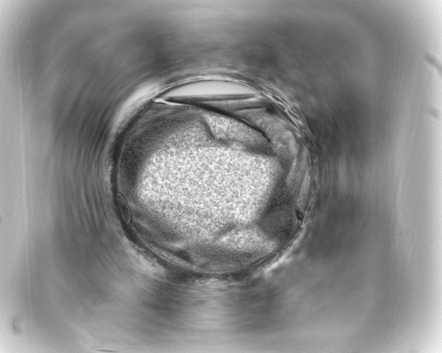 X0000093260197200710241339