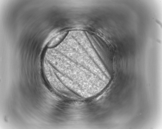 X0000093260198200710241339