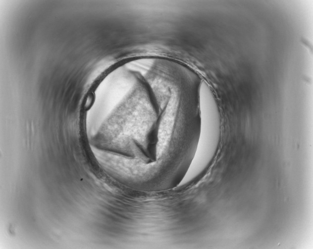 X0000093260200200710241339