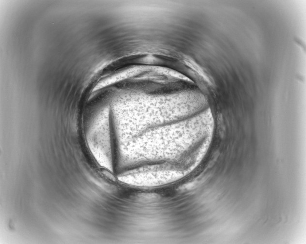 X0000093260203200710241339