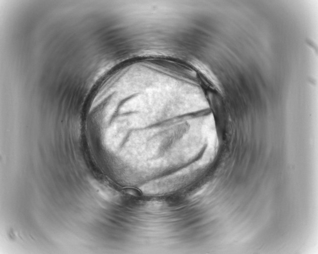 X0000093260204200710241339