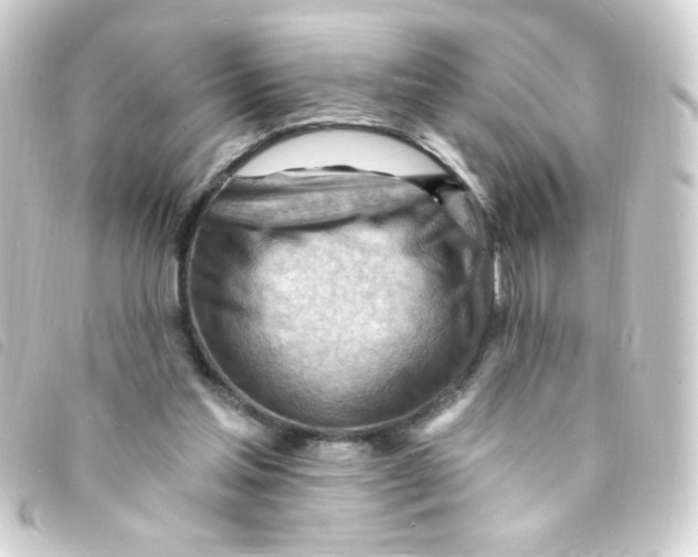 X0000093260205200710241339