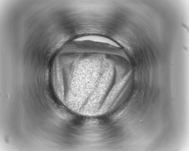 X0000093260206200710241339