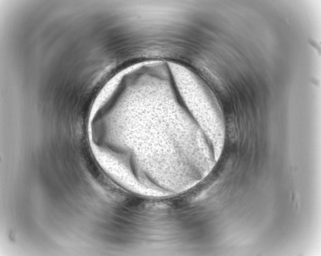 X0000093260208200710241339