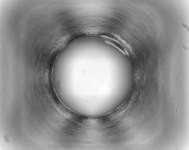X0000093260209200710241339