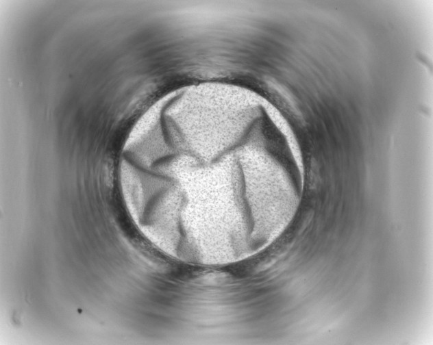 X0000093260210200710241339