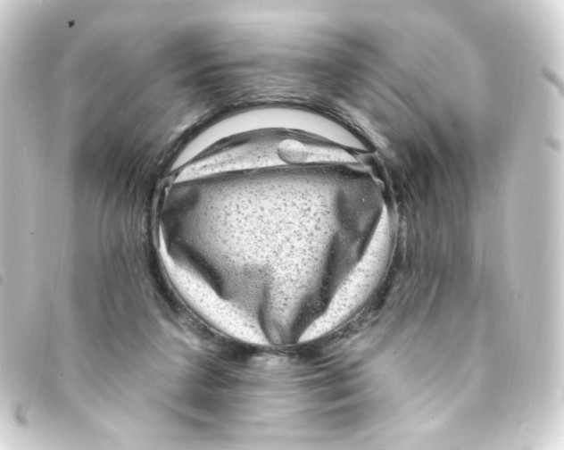 X0000093260211200710241339