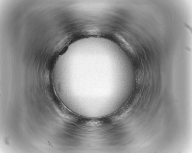 X0000093260213200710241339
