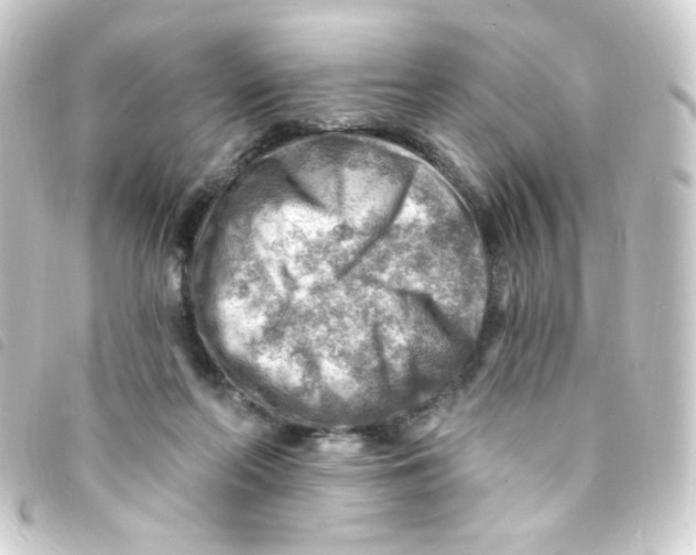 X0000093260214200710241339