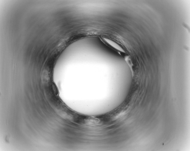 X0000093260215200710241339