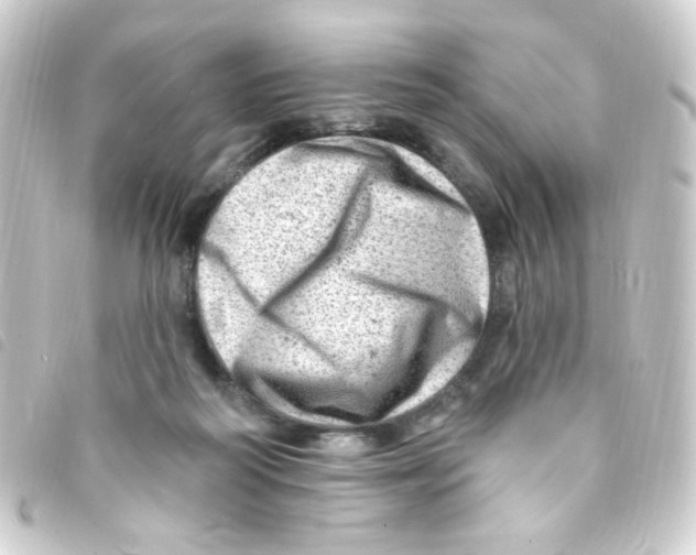 X0000093260218200710241339