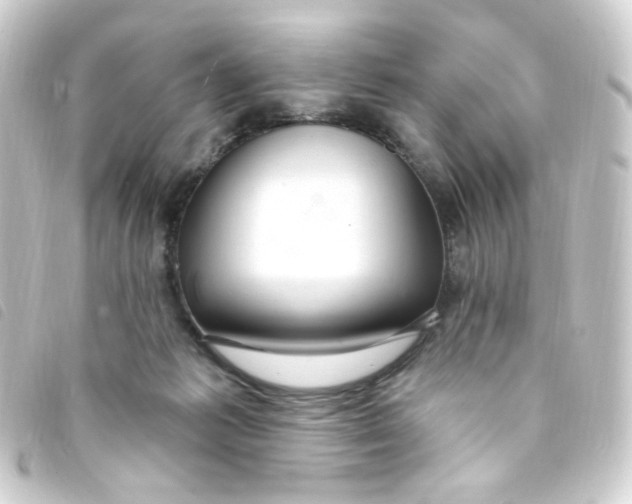 X0000093260221200710241339
