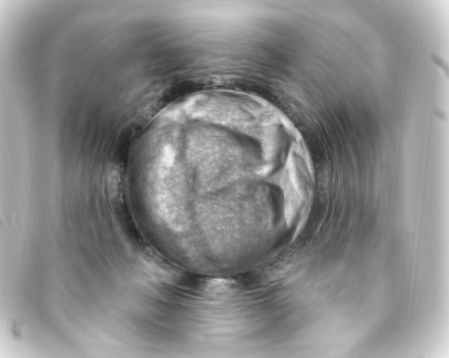 X0000093260222200710241339
