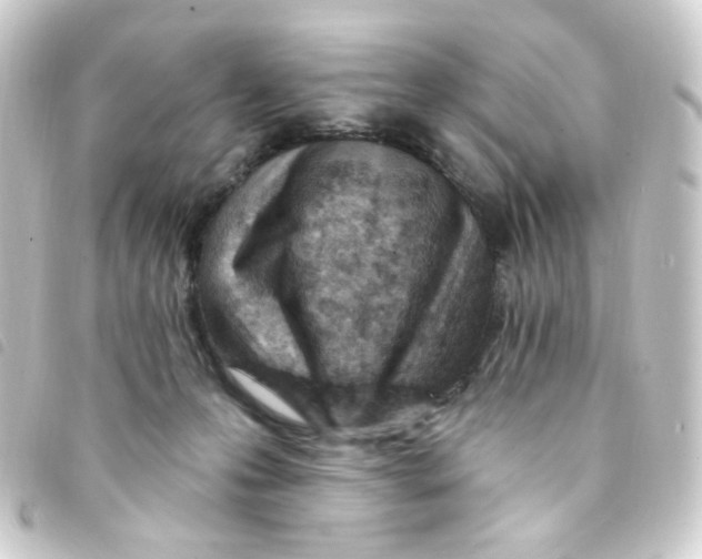 X0000093260223200710241339