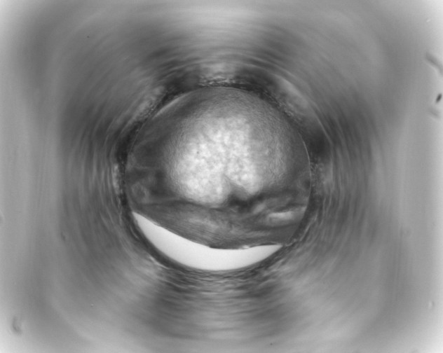 X0000093260224200710241339